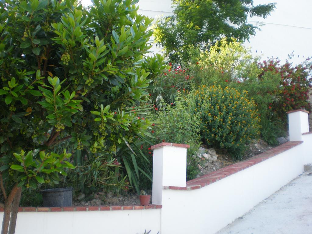 Apartamentos Rurales El Canuelo De Carcabuey Phòng bức ảnh